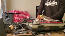 Pet Cockatiel Spins On DJ's Turntables