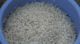 Birdman interview India