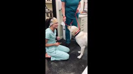 'Nope, can't trim my nails' Vet technician in Arkansas tries the PEANUT butter doggy nail trim challenge