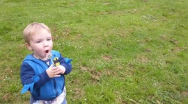 If at first you don't succeed... Adorable kid eats dandelion after blowing it fails