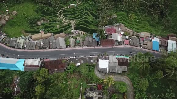 Enjoy the Beauty of Tegallalang Rice Terrace, Instagramable Rice Fields in Bali