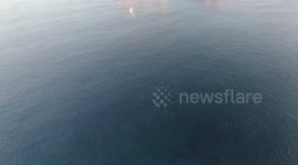 The ocean is met by urban sprawl in Sydney