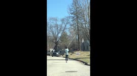 Precision tree falling