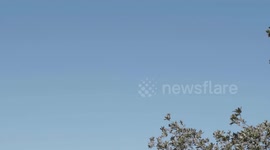 Montagna di Benetutti - Sardegna