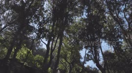 Montagna di Benetutti in Sardegna