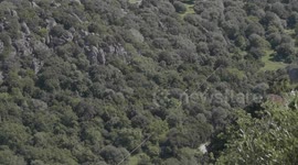 Bosco di Benetutti - Goceano (Sardegna)