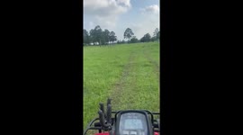 Riding ATV through fields. Quarantine on the ranch due to Coronavirus, but not complaining