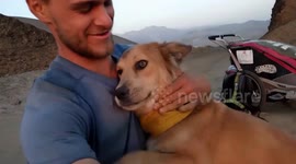 US traveller's bid to walk across the world halted by COVID-19 pandemic