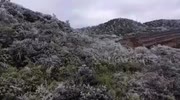 temp
