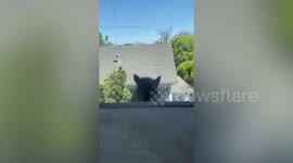 The former director of the California Republican Party has been documenting a two week long battle against squirrels living on his roof