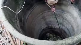 Thirsty python rescued after getting stuck at the bottom of well in search of water in Thailand