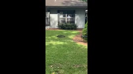 Coronavirus quarentine