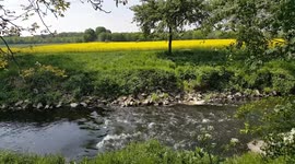 Nature in spring time