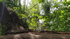 Time to reborn during the Quarantine