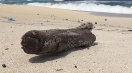 Alexandria Seafront in Egypt is the safest place to avoid Covid19