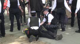 FURTHER FOOTAGE: UK man arrested at anti-lockdown protest