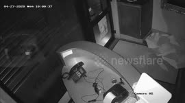 Paranormal flying creature flies through wall and disappears before your eyes