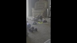 This US kid attempts a rigorous workout during the COVID-19 lockdown