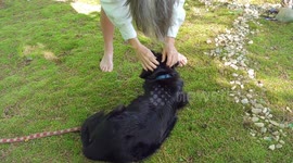 silly new symptom of the corona virus showing scary face