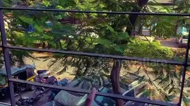 Hand dance in isolation performed by a professional dancer from India