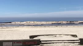 Red Tide! Never seen it this Red