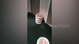 Stacks of food seen outside rooms on Brazil cruise ship where staff are in self-isolation