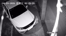 Car shunted forwards after dogs chase cat around the vehicle in China