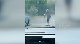 Pregnant Texas woman catches snake with bare hands while on the phone