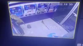 Cheeky monkey breaks ATM kiosk in northern India