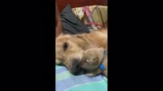temp