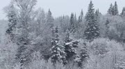 temp
