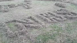 Touching tribute to NHS frontline workers in UK park.