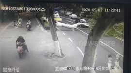 CCTV captures moment tree falls down hitting car in Nanjing