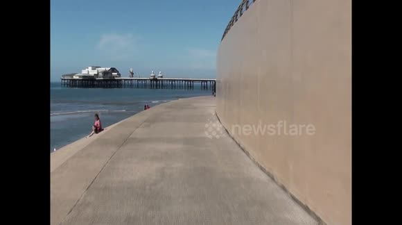 police horses on duty during cover lockdown