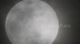 Photographer captures bat flying in front of the supermoon in the Philippines