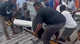 Wreckage recovered after US national dies in plane crash in Indonesia