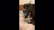 temp