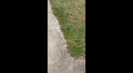 Avoiding Nap Time like it's Corona