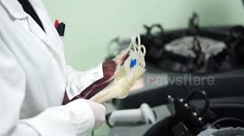 Blood processing procedure and by-products separation.