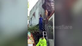 Thai rescuers save cat trapped on railings for whole night