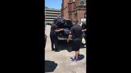 Grace at the Greenlight