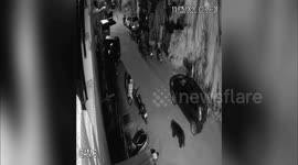 Wild bear seeing roaming in city amid COVID-19 lockdown in south India