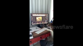 Dog remembers best friend who died three years ago in car accident