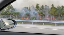 Florida wildfire on Alligator Alley