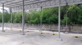 Snake wranglers catch fierce cobra scaring residents by hissing at them