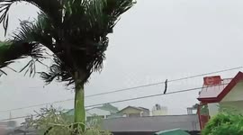 Typhoon Ambo moves across the Philippines with strong winds and rain