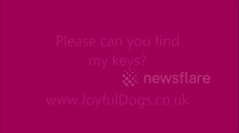 Find my keys for me Fido