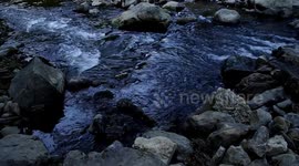 Pleasing running water footage