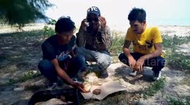 Thai fisherman find 12 waxy yellow lumps they believe is valuable ambergris whale vomit
