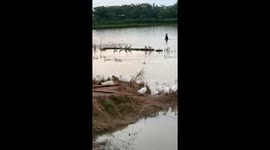 People try to repel hundreds of ducks that are attacking the fish in their lake